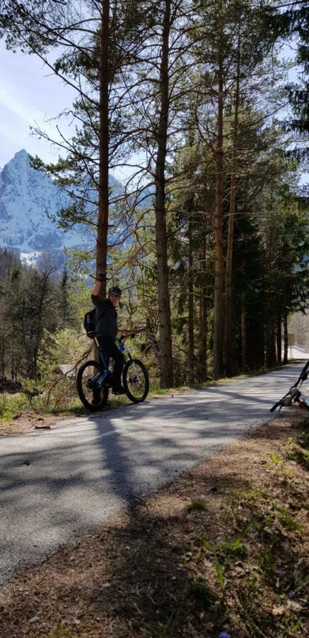 Apartament Yellow apartma Kranjska Gora Zewnętrze zdjęcie
