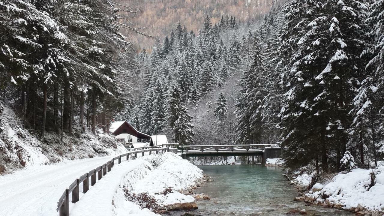 Apartament Yellow apartma Kranjska Gora Zewnętrze zdjęcie