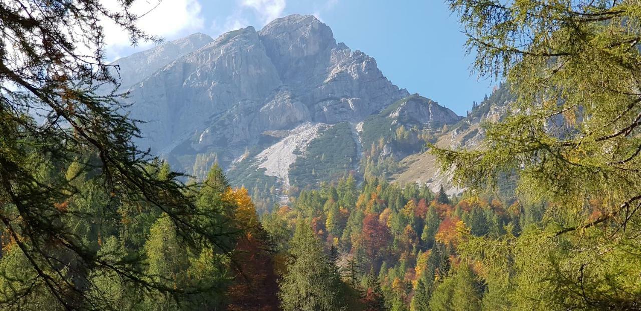 Apartament Yellow apartma Kranjska Gora Zewnętrze zdjęcie