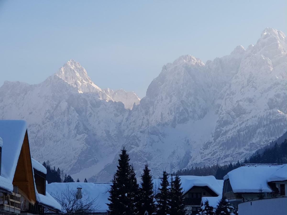 Apartament Yellow apartma Kranjska Gora Zewnętrze zdjęcie